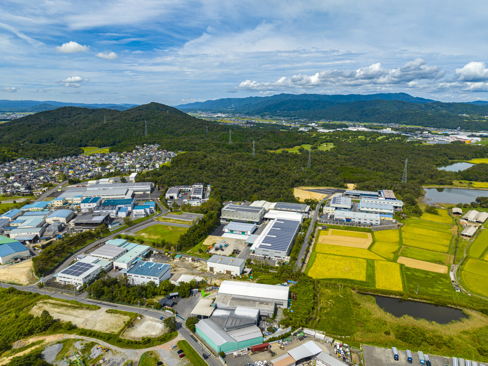 Panorama-1