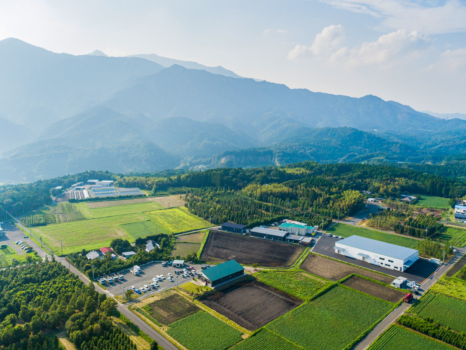 Panorama-1