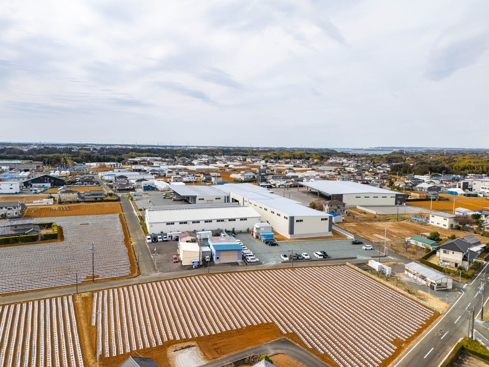 Panorama-1
