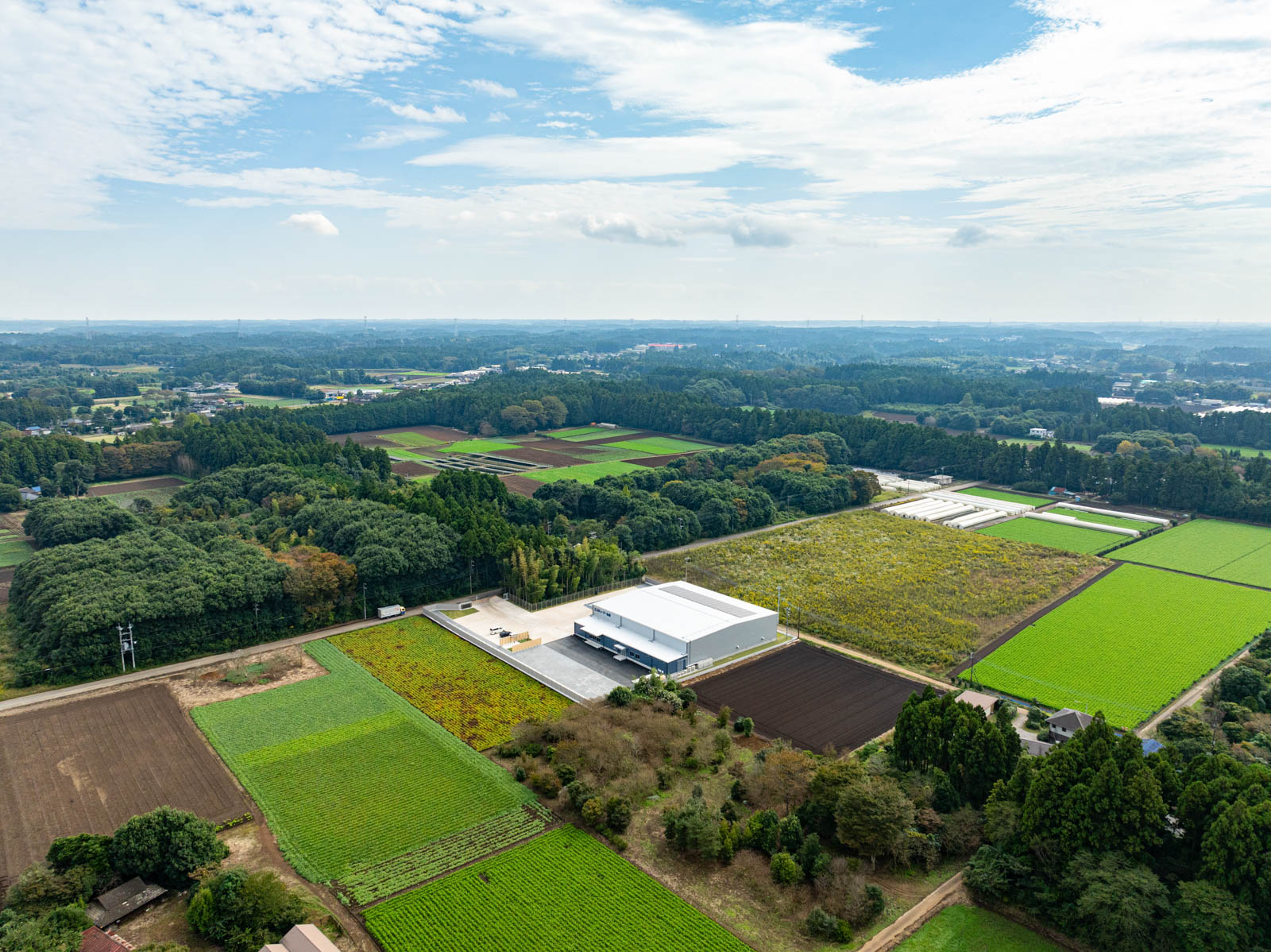 Panorama-1