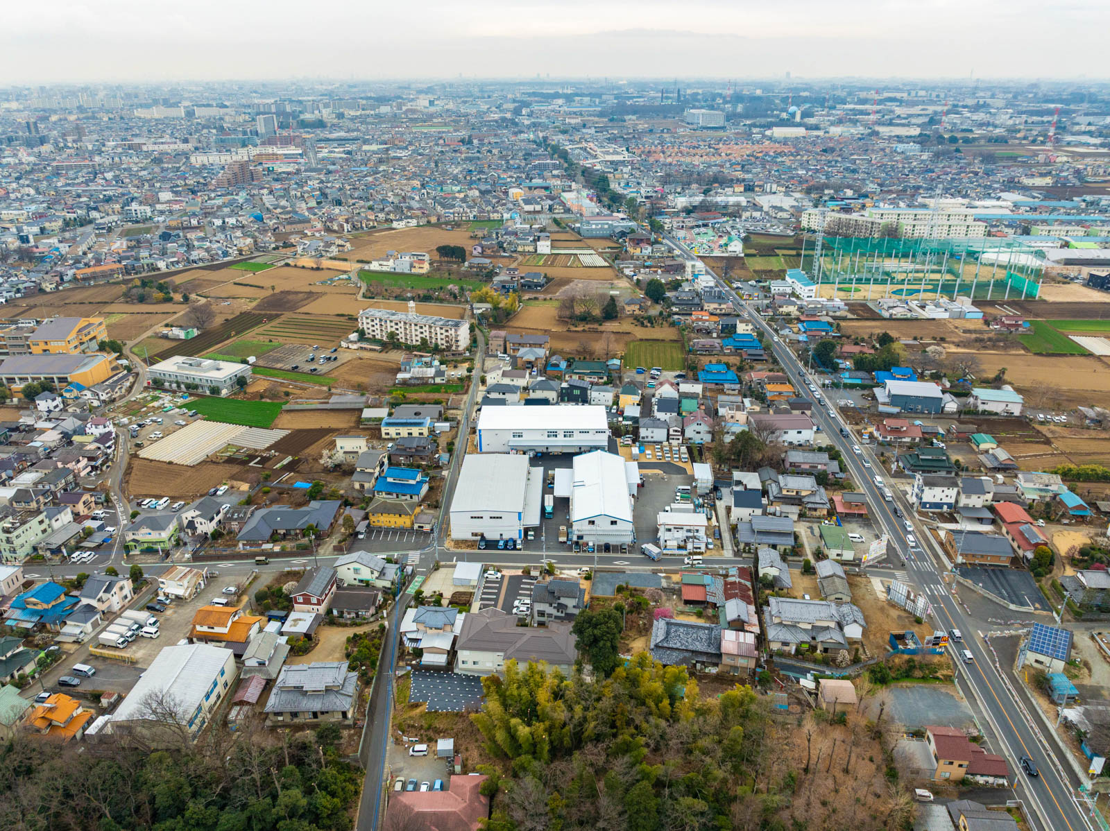 Panorama-1