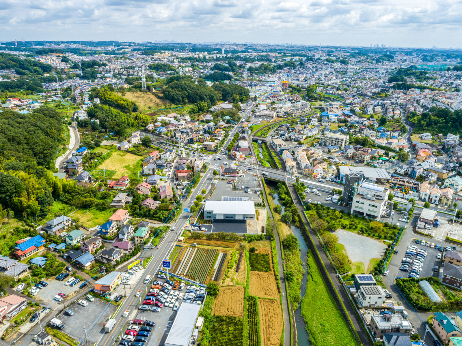 Panorama-1