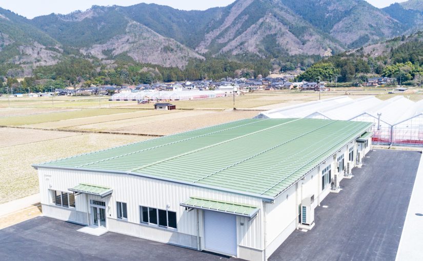 やぶファーム株式会社 集出荷場