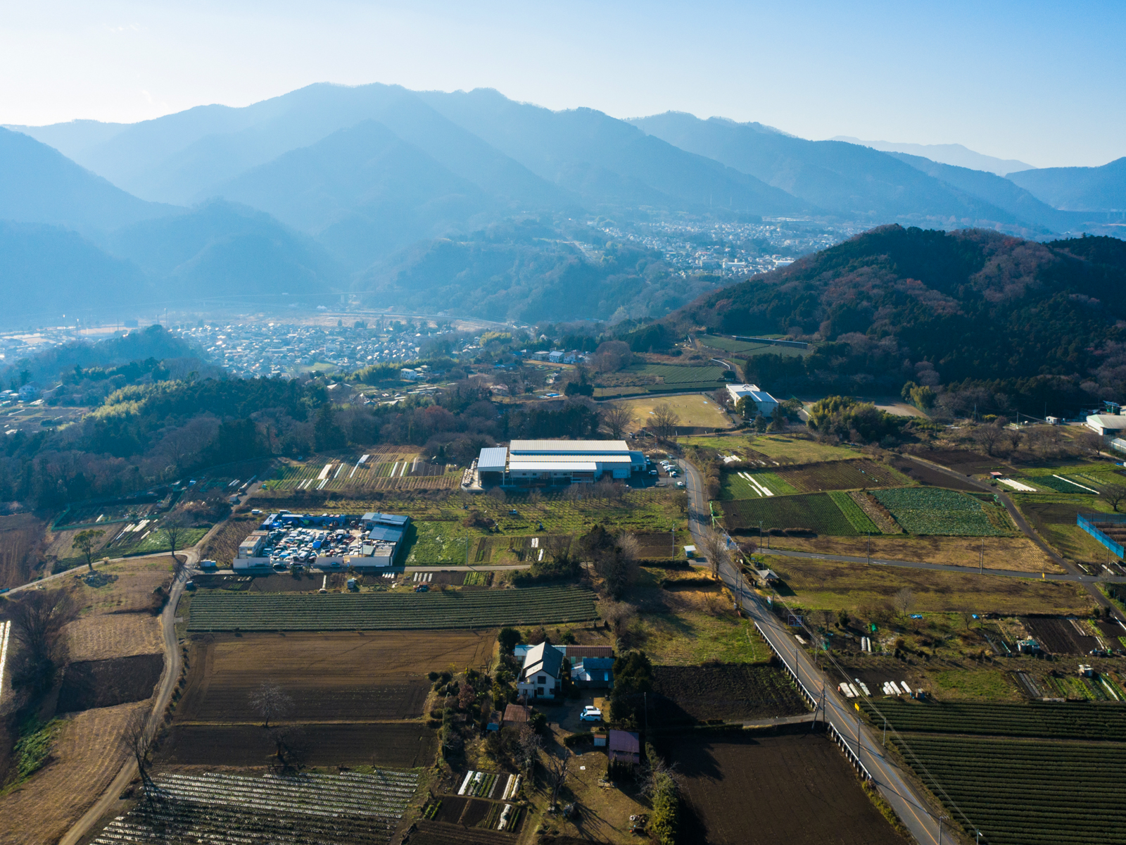 Panorama-1
